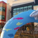 평택하람어린이집 이미지