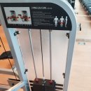 북면016 | 창원헬스기구전문점, 창원 북면 헬스장 EXFUN EXQ-016 라잉 레그컬 판매