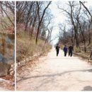 유림-1144 이미지