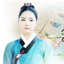 뿌리깊은나무