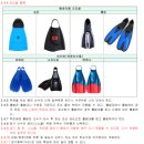 광주씨라이프스킨스쿠버 | [전국 수영대회] 2026년 광주시 수중핀수영협회장배 핀수영 팀 챌린지대회