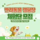 오수의견공원실외 | [오수의견 국민여가캠핑장X디비하우스] 전북 반려동물캠핑장 체험단 모집!