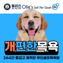 24시애견미용 이미지