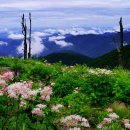 지리산 종주 화대종주 성중종주 1박2일 종주 이미지