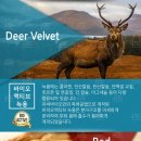 오케이바이오