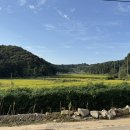 전 기황후 릉 터 이미지