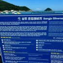 소나무비치민박 이미지