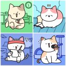 나의 반짝 그루밍 이미지