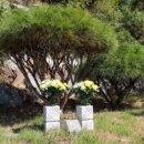 공설묘원 이미지