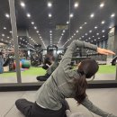 명신보이
