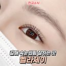 벨라제이 속눈썹 이미지
