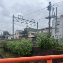 대밭들천 | 교토 버스투어 아이트립투어 이용후기(내돈내산)