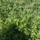 오광농장 이미지