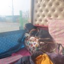 자인계정숲 이미지