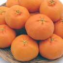 태성농장3 이미지