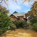 돈이농장 이미지