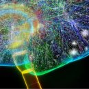 인터넷래리 이미지