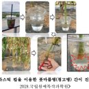 (주)수일개발 | 7월 고추 재배 관리 요령