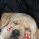 올림푸스원 네이버블로그