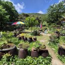 단관초교길 이미지