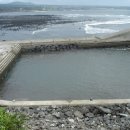 하례1리 이미지