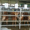 거창-남상-7 이미지