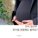 만삭임산부 뮤지컬 관람 괜찮을까요? 뮤덕 임산부의 슬기로운 공연생활 팁