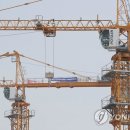 타워크레인연합