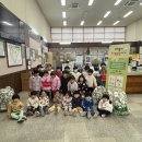 느티나무어린이집 이미지