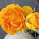 해동모텔 이미지