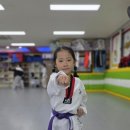 도원태권도장 이미지