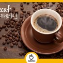 카페인러시