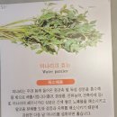 등촌샤브칼국수양재매헌점 이미지