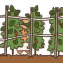 고수농장 이미지