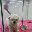 달링하이 포항점 이미지