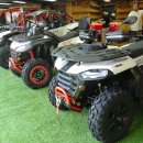 파워스포츠 이미지