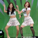 다솜 - 안양시 만안구 안양동 | 다솜