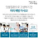 라임나무 이미지