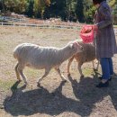 하도목장 이미지