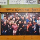 종로5가곱창 이미지