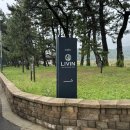 바닐라 애견샵 | 전남 진도 애견동반 가능한 오션뷰 카페 리빈(LIVIN) 내돈내산 후기