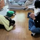 36개월 설날 보내기 #최민준아들 무료강의 후기 #해피차일드애플#육아일상(2)