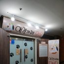 모모몽 애견까페 이미지