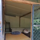 동물보육원 이미지