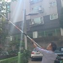 [일상] 대봉의 추억 _ 2025.10.19 _ 대봉감따기 이미지