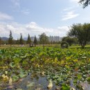 마음한줄 부암점 이미지