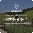 능산리 고분군 의장왕 설단 | 세계유산 백제역사유적지구 능산리고분군, 능산리사지, 백제왕릉원