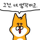 라에비뉴 이미지