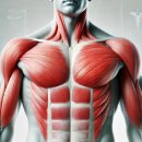 져스트 짐 이미지