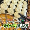 몽실마을 | 안동 1박2일 여행기 | part 2. 유명빵집 '맘모스제과', 안동 한옥숙소(에어비앤비) 솔직후기 by 앨리문고